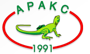 Старый логотип Аракс
